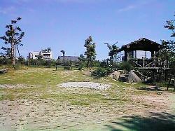 平成9年度 「児ノ口公園を守りそだてる活動」