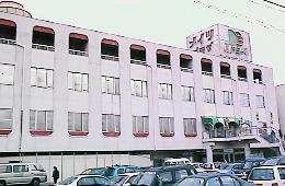 ���[�L�`�S�i